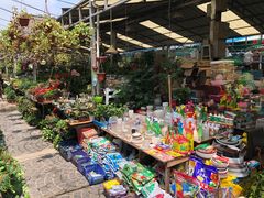-曲阳花鸟市场(曲阳路店)