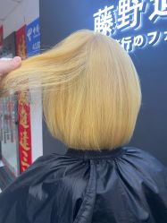 -藤野造型