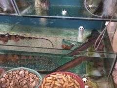 -百家福海鲜排档·闽菜·家宴(斗西路口店)