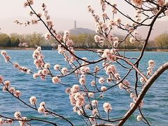 -颐和园-景明楼