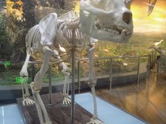 -陕西自然博物馆