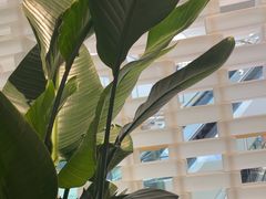 -熹素·鲜美素食Vegetarian (天河领展店)