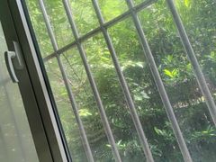 -石老人观光园
