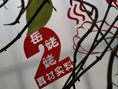 -岳姥姥饺子(泺文路店)