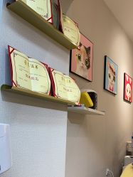 -洗脸猫·洗脸吧