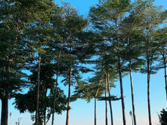 -深圳湾公园(南山区)