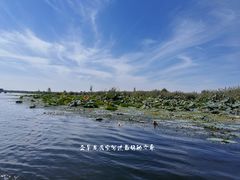 -白洋淀风景区