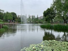 -成飞公园