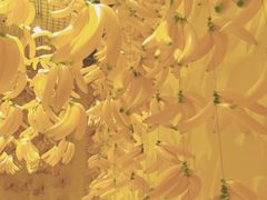 -福州奇幻解压馆(东泰禾旗舰店)
