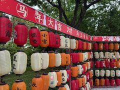 -梁鸿国家湿地公园