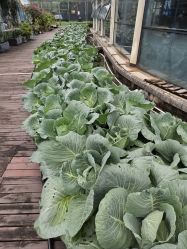 -梦田都市农场(银泰城店)