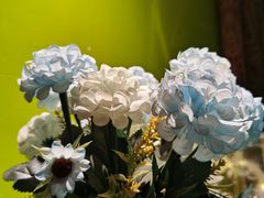 餐具摆设-孔雀裡融合餐厅
