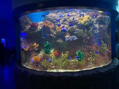 -多彩贵州城极地海洋世界