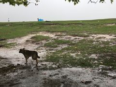 -贵州云顶草原民族风情园