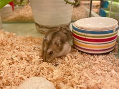 -龙猫仔乐园(惠福东路店)