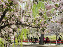 -元大都城垣遗址公园