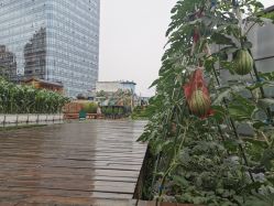 -梦田都市农场(银泰城店)