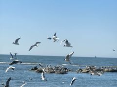 -老虎石海上公园