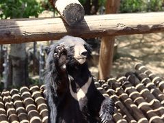 -济南野生动物世界