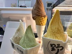 -野人先生现做冰淇淋(北京环宇荟店)