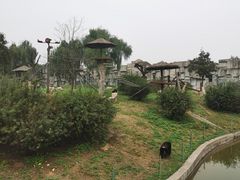 -石家庄市动物园