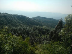 android_upload_pic-玉苍山国家森林公园