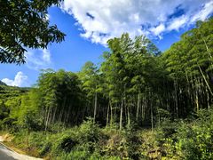 -安吉龙王山风景区
