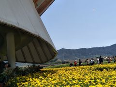 -光明小镇欢乐田园