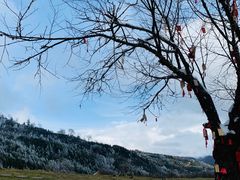 -硗碛藏寨·神木垒景区