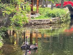 -洛阳白云山景区