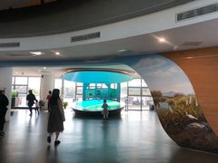 -漩门湾国家湿地公园