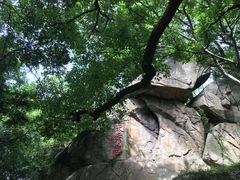 -乌山风景区