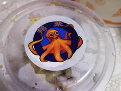 -铭聚章鱼土笋冻(松柏店)