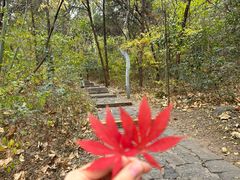 -云龙山