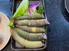 -重庆圣渝老火锅(掌起镇横街店)