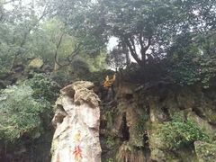 -杭州黄龙洞