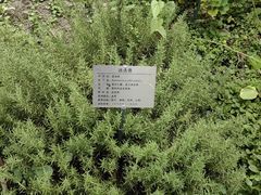 -四川大学(华西校区)