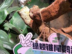 -正佳雨林生态植物园