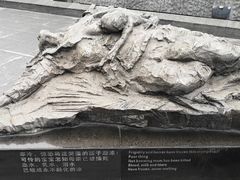-侵华日军南京大屠杀遇难同胞纪念馆