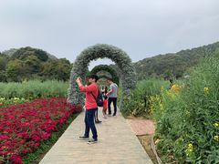 -广州市石门国家森林公园