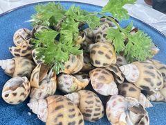 瓦萨比花螺-阿尔法海鲜排档(爱琴海店)