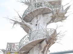 -芒洲湿地公园
