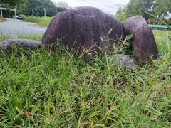 -白塘生态植物园