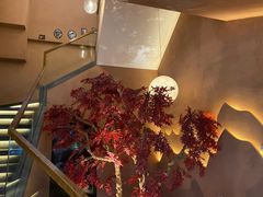 -韩京炭火烤肉自助料理(柯桥万达店)