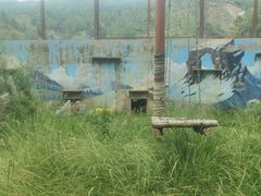 -青藏高原野生动物园