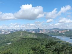 -深圳仙湖植物园
