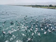 -青海湖二郎剑景区