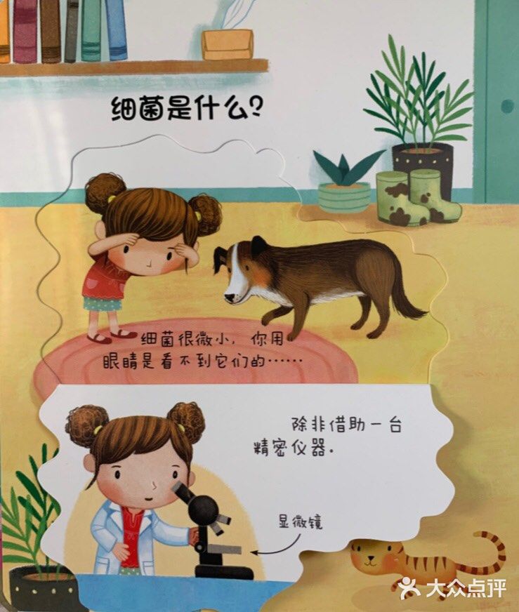 疫情期间孩子爱不释手的科普读物