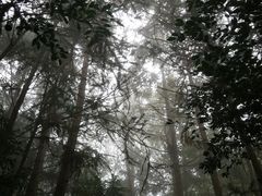 -窦圌山风景区