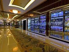 -UME影城(安贞DTS:X店)